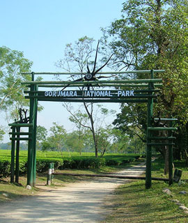 gorumara national park