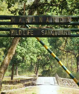 mahananda wildlife sanctuary