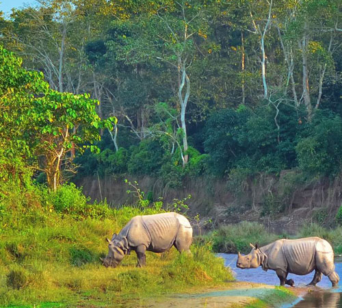 Glimpse of Nepal